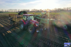 Afbeelding invoegen